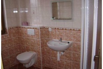 Pensiune familială Janov nad Nisou 5